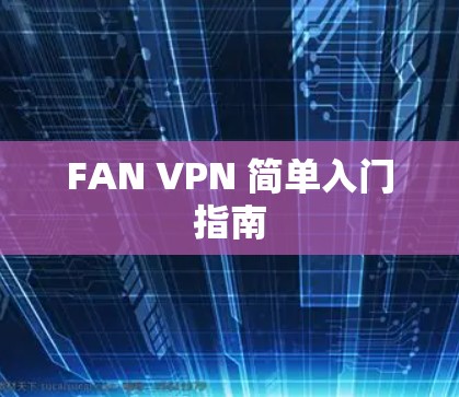 FAN VPN 简单入门指南 FAN VPN 简单入门指南