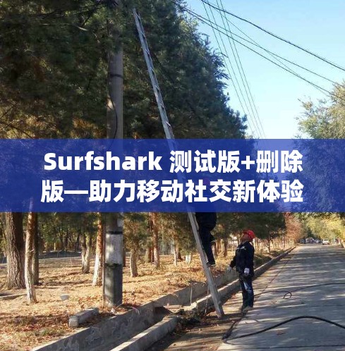 Surfshark 测试版+删除版—助力移动社交新体验