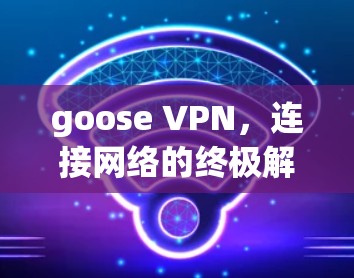 goose VPN,连接网络的终极解决方案
