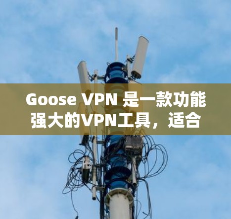 Goose VPN 是一款功能强大的VPN工具,适合个人用户、企业用户或家庭用户。下面是一个使用Goose VPN 的指南,帮助你轻松上手