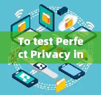 To test Perfect Privacy in a network,follow these organized steps: