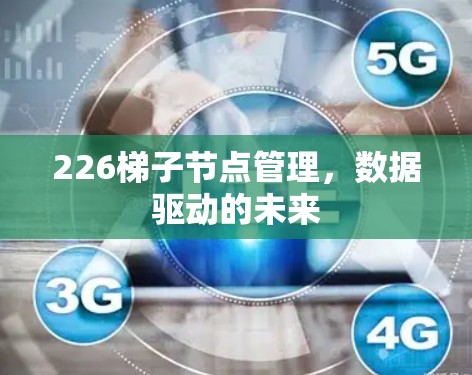 226梯子节点管理,数据驱动的未来