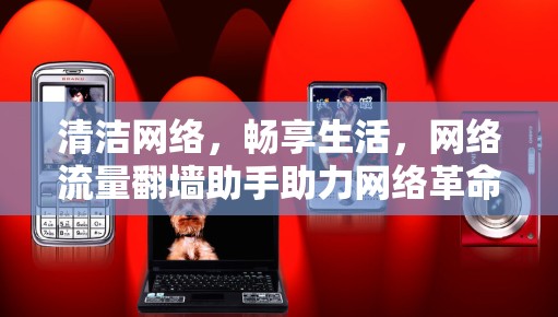 清洁网络,畅享生活,网络流量翻墙助手助力网络革命