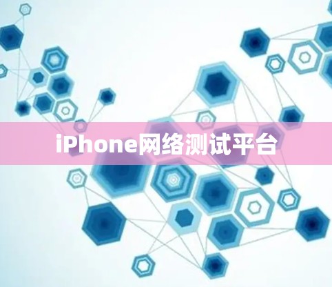 iPhone网络测试平台