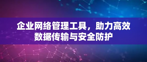 企业网络管理工具,助力高效数据传输与安全防护