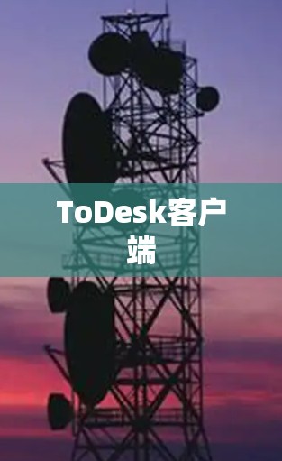 ToDesk客户端