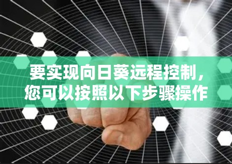 要实现向日葵远程控制,您可以按照以下步骤操作 要实现向日葵远程控制,您可以按照以下步骤操作