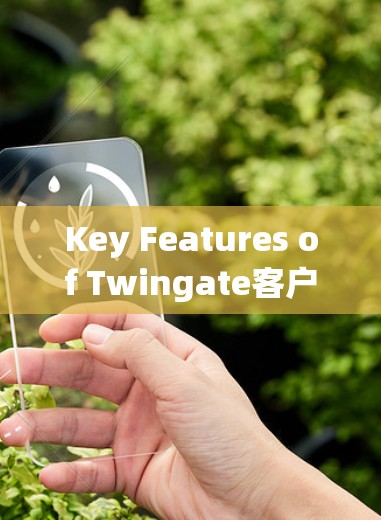 Key Features of Twingate客户端: