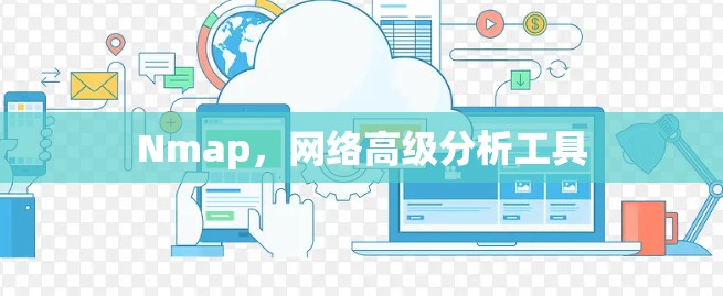 Nmap，网络高级分析工具