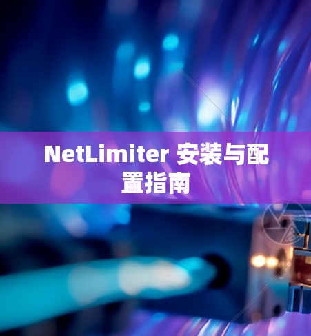 NetLimiter 安装与配置指南