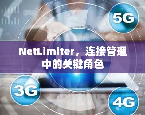NetLimiter，连接管理中的关键角色