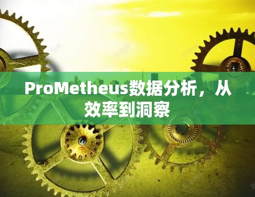 ProMetheus数据分析，从效率到洞察