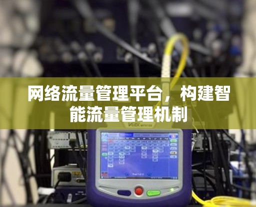网络流量管理平台,构建智能流量管理机制