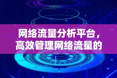 网络流量分析平台,高效管理网络流量的全新解决方案