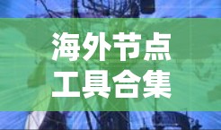 海外节点工具合集通常用于处理全球范围内的网络、数据、项目管理和协作任务。以下是一些常见的海外节点工具及其用途,供您参考 海外节点工具合集通常用于处理全球范围内的网络、数据、项目管理和协作任务。以下是一些常见的海外节点工具及其用途,供您参考