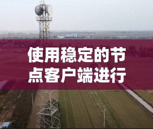 使用稳定的节点客户端进行稳定化是一个逐步的过程，需要遵循以下步骤