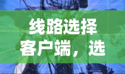 线路选择客户端,选择正确的产品,保障数据传输的可靠性和稳定性 线路选择客户端,选择正确的产品,保障数据传输的可靠性和稳定性