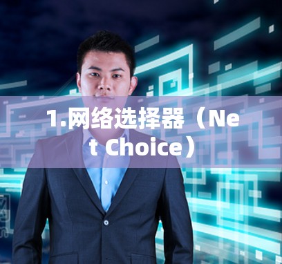 1.网络选择器（Net Choice）