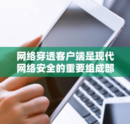 网络穿透客户端是现代网络安全的重要组成部分，它们能够独立执行网络操作，保护用户和设备的数据安全。以下是关于网络穿透客户端的详细总结