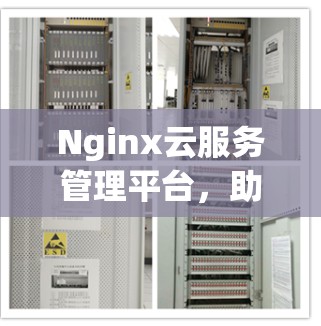 Nginx云服务管理平台，助力云服务优化与扩展