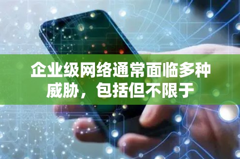 企业级网络通常面临多种威胁，包括但不限于
