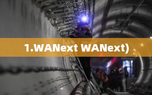 1.WANext WANext)