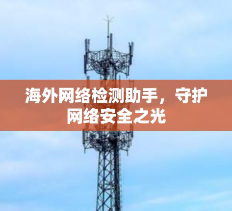 海外网络检测助手，守护网络安全之光