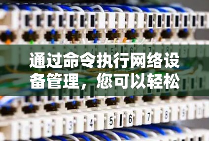 通过命令执行网络设备管理，您可以轻松地获取和管理网络设备。以下是一些具体的步骤和命令