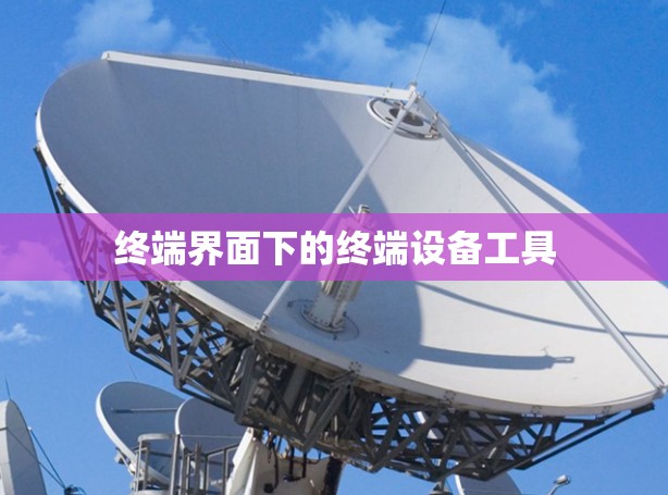 终端界面下的终端设备工具