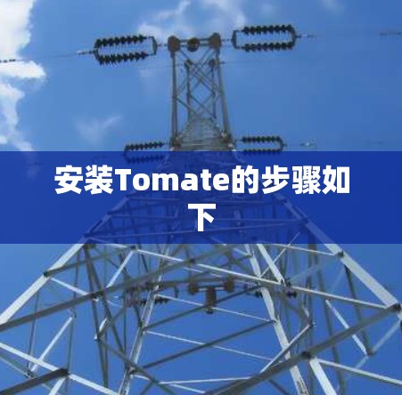 安装Tomate的步骤如下