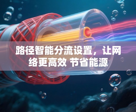 路径智能分流设置，让网络更高效 节省能源