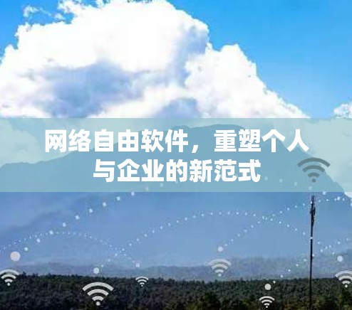 网络自由软件，重塑个人与企业的新范式
