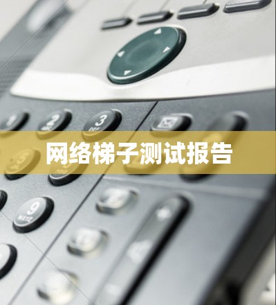 网络梯子测试报告