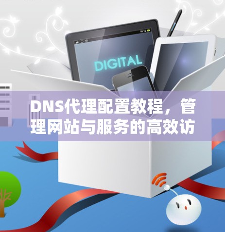 DNS代理配置教程，管理网站与服务的高效访问