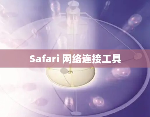 Safari 网络连接工具