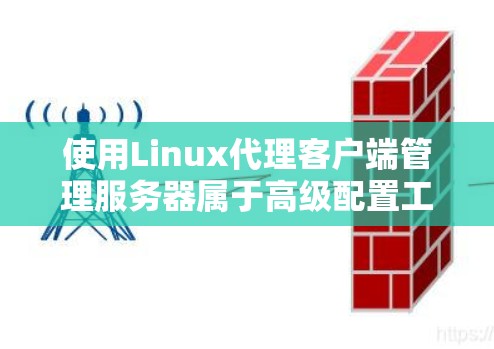 使用Linux代理客户端管理服务器属于高级配置工作，需要对代理客户端的环境和配置有深入了解。以下是一份详细的步骤指南，帮助您顺利完成安装和使用