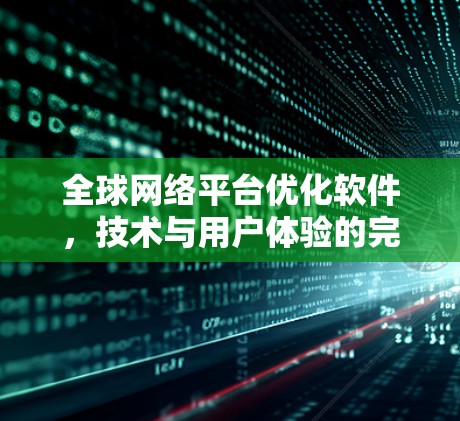 全球网络平台优化软件，技术与用户体验的完美结合